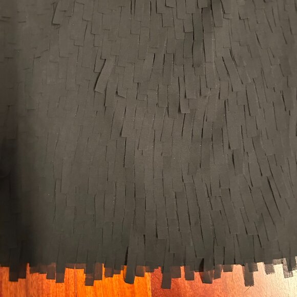 Ann Taylor black fringe skirt : Not a mini, but shorter length:  4P - Picture 3 of 7